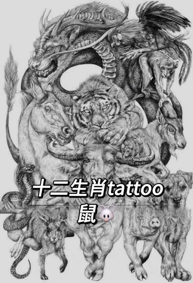 生肖特质与财富积累：鼠龙马猴的理财智慧
