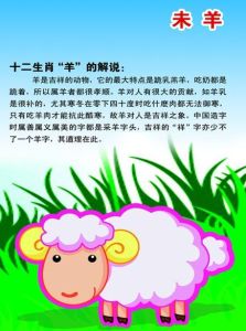 生肖女性力量：虎蛇羊的职场智慧与坚韧故事