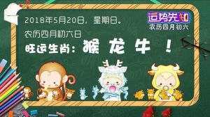 情人节生肖运势：鼠虎蛇马魅力大揭秘！