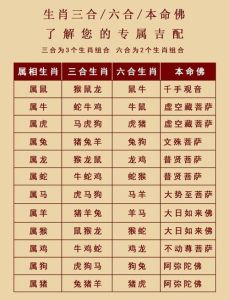 12月财运亨通：龙马猴狗四大生肖转运指南