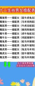 属马新娘选配偶：避开相冲，婚姻更和谐