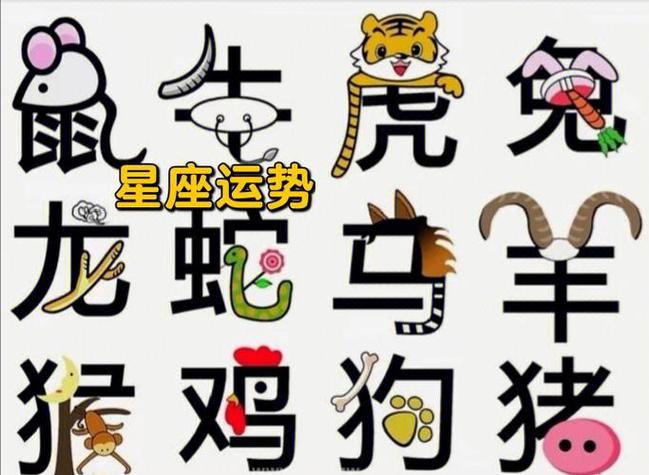 生肖星座运势揭秘：鼠龙羊天蝎双丰收指南