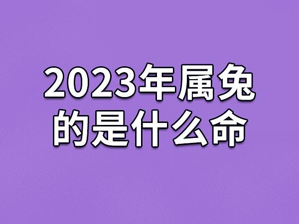 属兔最佳贵人揭秘：羊猪狗猴助力幸福未来