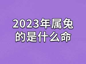 属兔最佳贵人揭秘：羊猪狗猴助力幸福未来