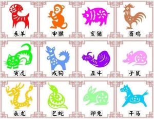 生肖星座职场优势：鼠虎狮摩羯，勇往直前精神解析
