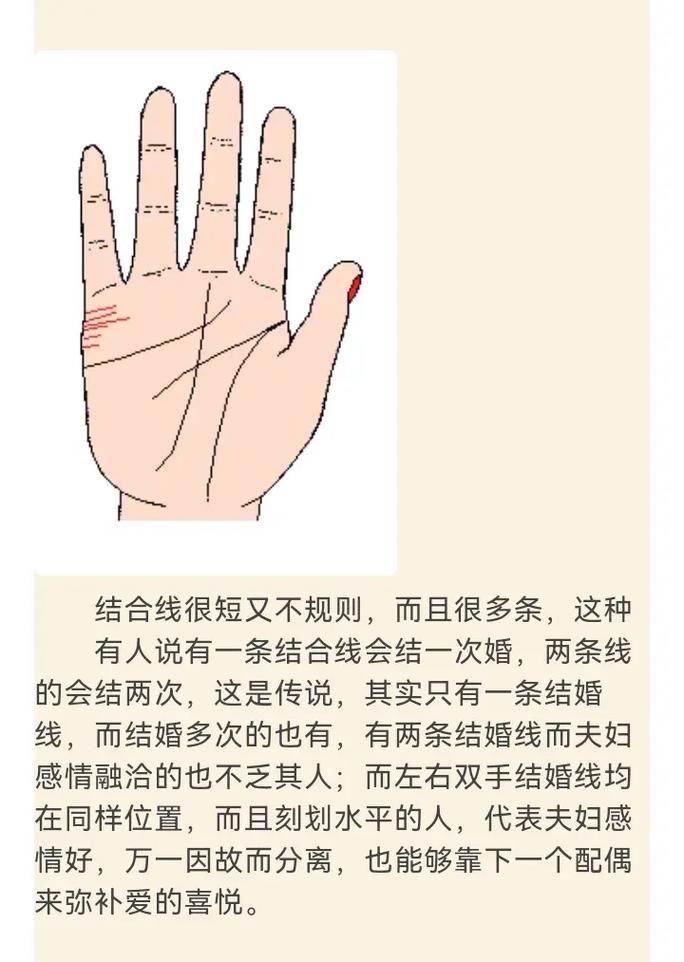 手相学揭秘：婚姻线与财富线预示美好人生