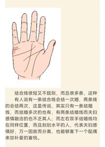 手相学揭秘：婚姻线与财富线预示美好人生