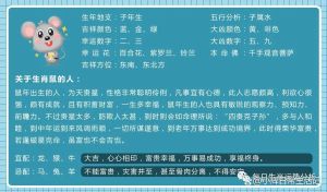 十二生肖运势分析：事业财运爱情格言一览
