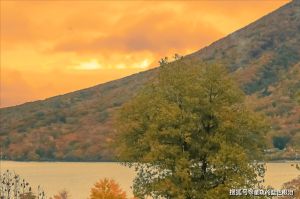 职场之星：四大星座优势揭秘与学习之道