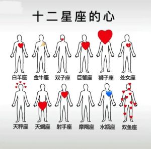 五大星座职场逆袭：优势解析及成功秘诀
