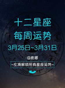 今日塔罗运势：12星座运势简析