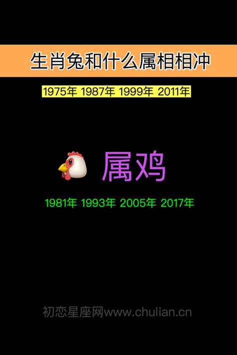 生肖兔羊鸡：性格温和却家务绝缘，和谐共处之道
