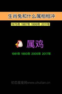 生肖兔羊鸡：性格温和却家务绝缘，和谐共处之道