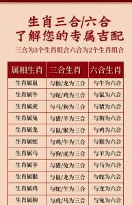 11月猪鼠猴蛇运势旺，投资机遇多！