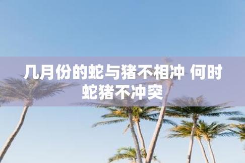 11月运势：属鼠蛇猪爆棚，幸福快乐伴你行！