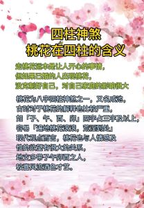 揭秘八字桃花：异性缘分与化解之道