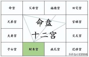 紫微星盘中财帛宫：影响财运的星宿与风险偏好