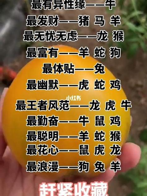 生肖星座好运揭秘：抓住机遇，幸福红火每一天
