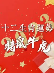 2023生肖财运揭秘：鼠龙虎猪运势解析