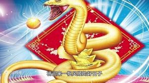 四生肖运势解析：蛇马狗羊财富亨通特点汇总