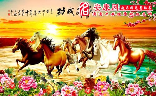 12月16日起，属马牛鸡运势爆发，事业财运双丰收！