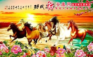 12月16日起，属马牛鸡运势爆发，事业财运双丰收！
