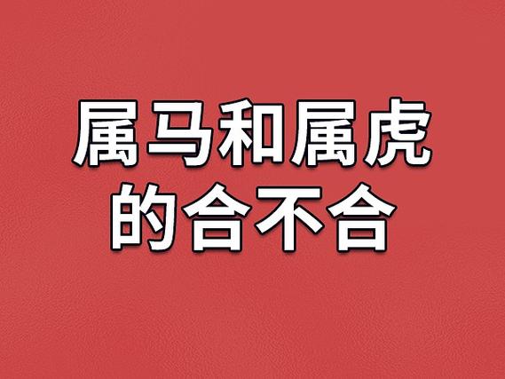 属虎人的三大贵人：智慧导师忠诚伙伴与激励者