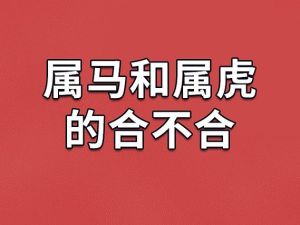 属虎人的三大贵人：智慧导师忠诚伙伴与激励者