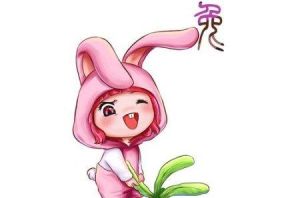 生肖女硬气不认输：独特魅力与坚强力量