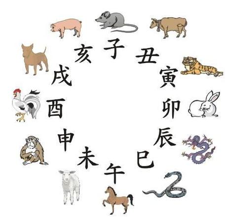 生肖虎兔蛇鸡冬天爱情旺，开启浪漫之旅！