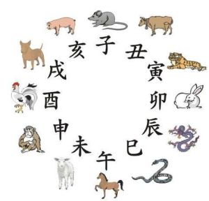 生肖虎兔蛇鸡冬天爱情旺，开启浪漫之旅！