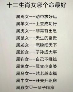 生肖星座影响性格与运势，揭秘职场脱颖而出秘诀