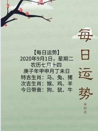 兔猪马生肖未来三个月财运亨通，把握时机提升运势！