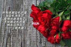 断联后回头：认清动机，守护纯粹爱情