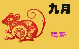 2024生肖好运盘点：鼠牛龙猪幸福迎新年