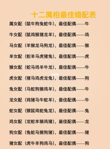 生肖女性魅力解析：智慧羊兔，干练鸡蛇，家庭事业两丰收