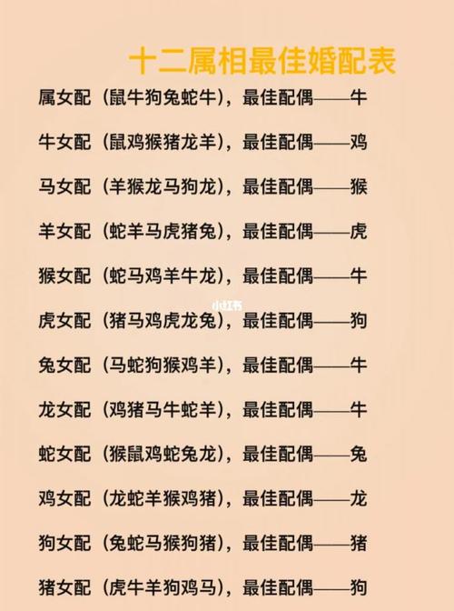 2024年11月13日生肖运势：龙猴猪旺，蛇羊兔需谨慎！