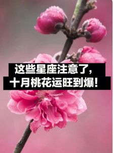 11月末星座桃花旺：理智面对爱情，携手共赢幸福