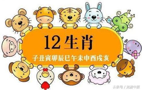 11月生肖运势：龙羊虎兔大吉大利，抓住机遇创美好未来！