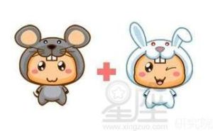 生肖星座逆袭揭秘：鼠兔龙狮子四生肖爱情事业双赢