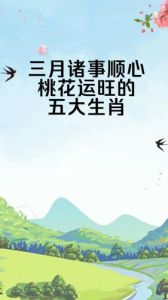 17天生肖桃花运：鼠龙羊猴大行动，把握时机享美好！