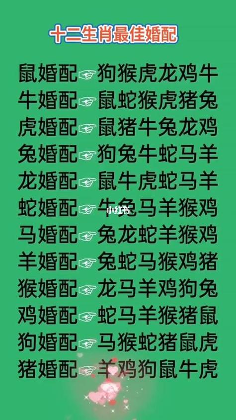 生肖特质解析：鼠牛龙蛇情感运势事业逆袭