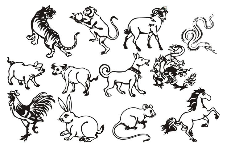 生肖逆袭：龙马猴鸡特点解析与好运之道