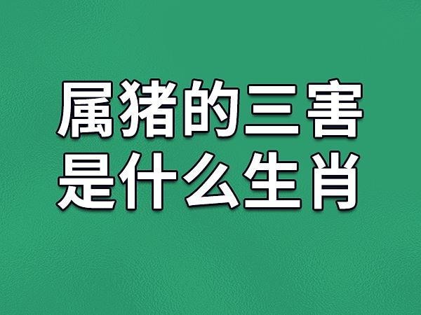 四生肖商机解析：鼠龙猴猪腾飞时机