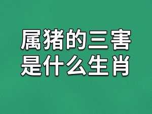 四生肖商机解析：鼠龙猴猪腾飞时机