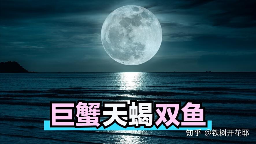 冬季运势飙升：摩羯天蝎巨蟹双鱼四大星座梦想成真