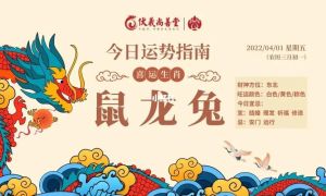 生肖运势揭秘：兔鼠龙猴爱情事业双丰收指南