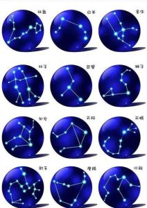塔罗运势揭秘：12星座情感走向解析