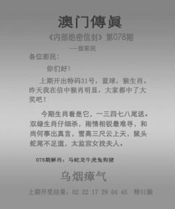 生肖女性婚姻启示录：鼠兔马故事解码幸福平衡