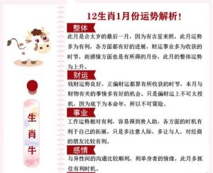 四大生肖运势解析：潜力与情感特点一览